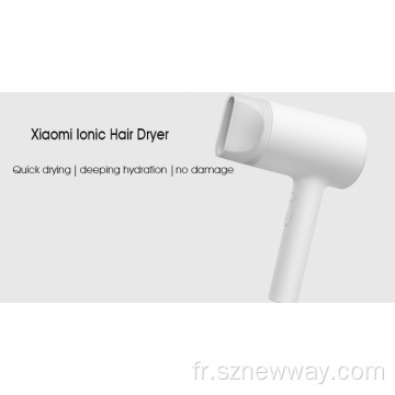 Xiaomi mijia sèche-cheveux électrique eau ionique ionique